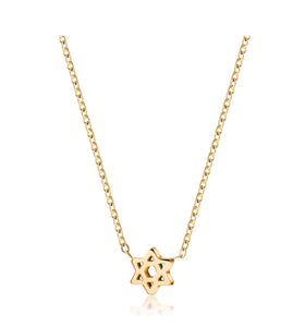 Tiny Star of David Necklace