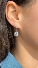 Load image into Gallery viewer, Nelly Drop Earrings
